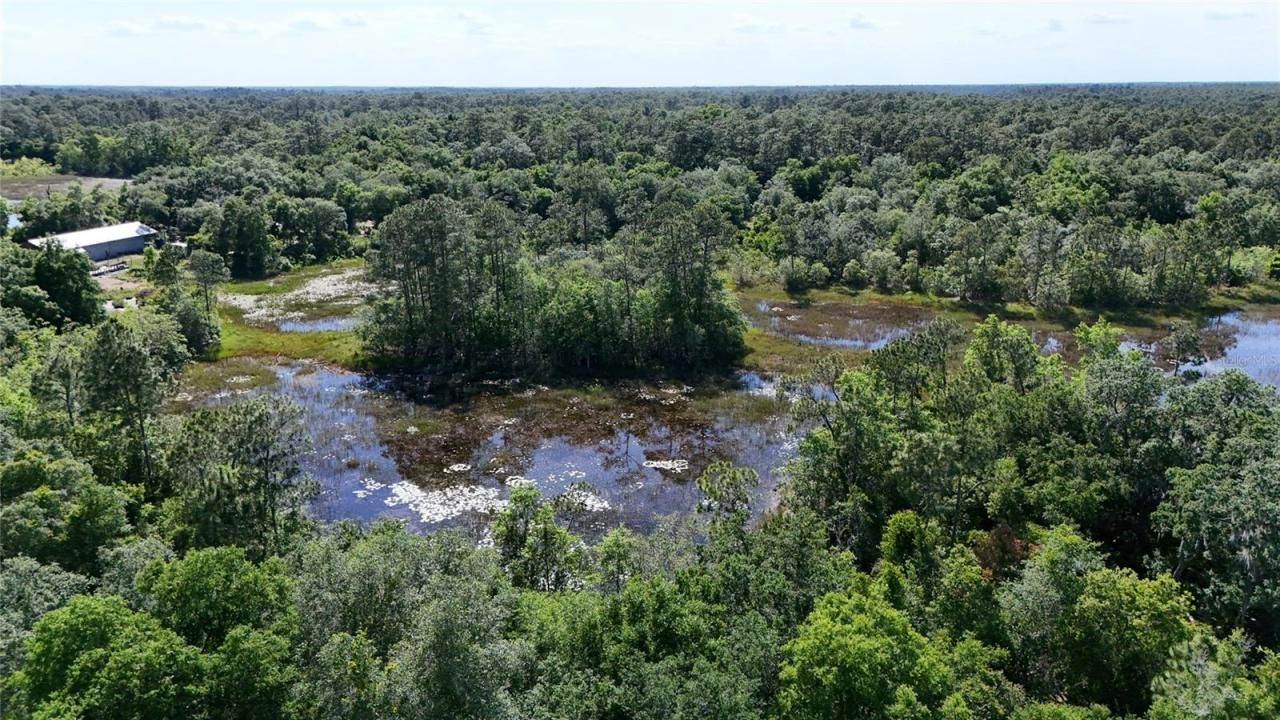 Tbd 170th SE Avenue Road, Ocklawaha, FL 32179 Photo