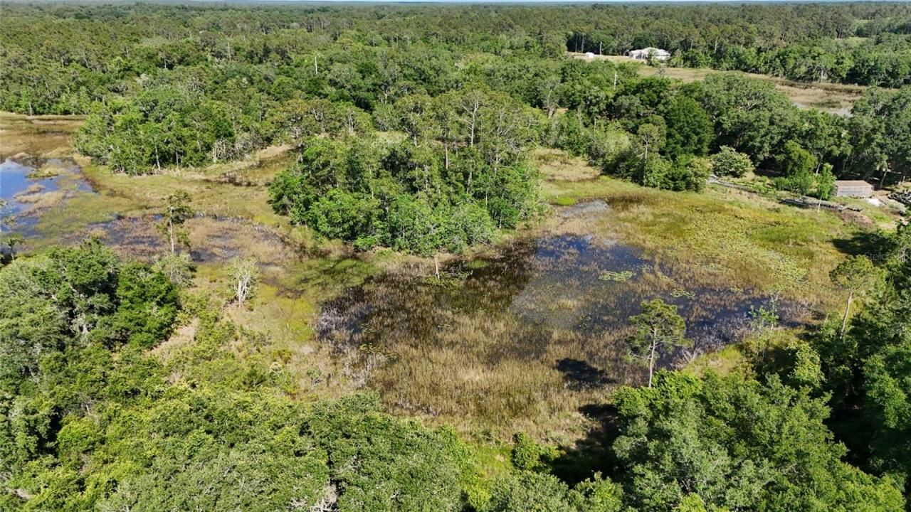 Tbd 170th SE Avenue Road, Ocklawaha, FL 32179 Photo