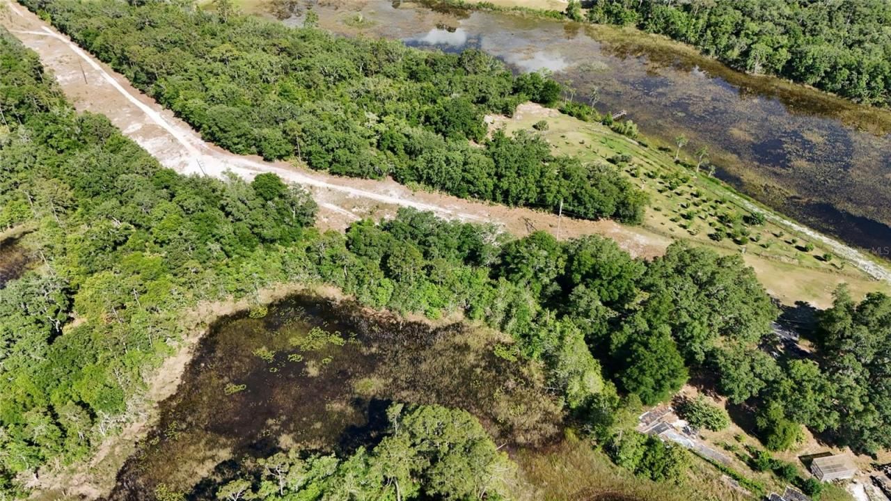 Tbd 170th SE Avenue Road, Ocklawaha, FL 32179 Photo