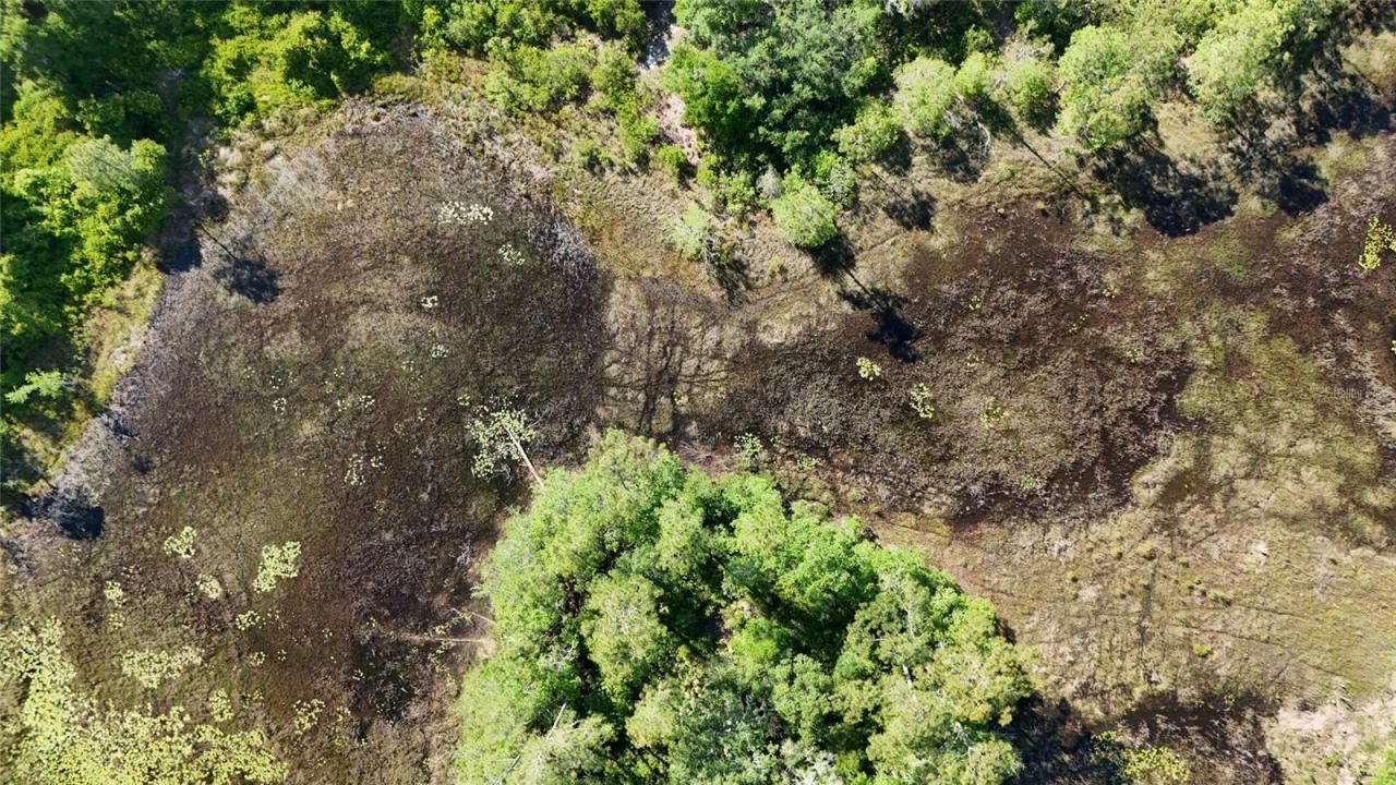 Tbd 170th SE Avenue Road, Ocklawaha, FL 32179 Photo