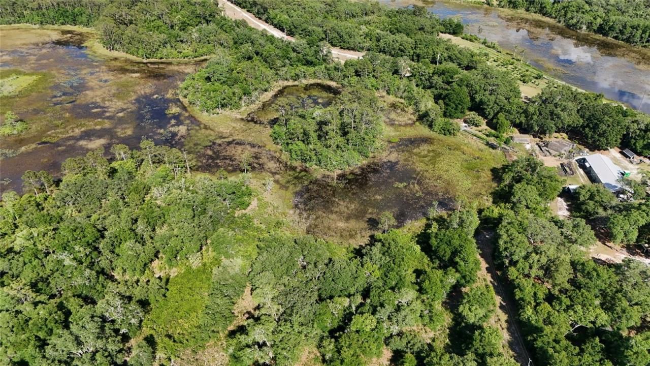 Tbd 170th SE Avenue Road, Ocklawaha, FL 32179 Photo