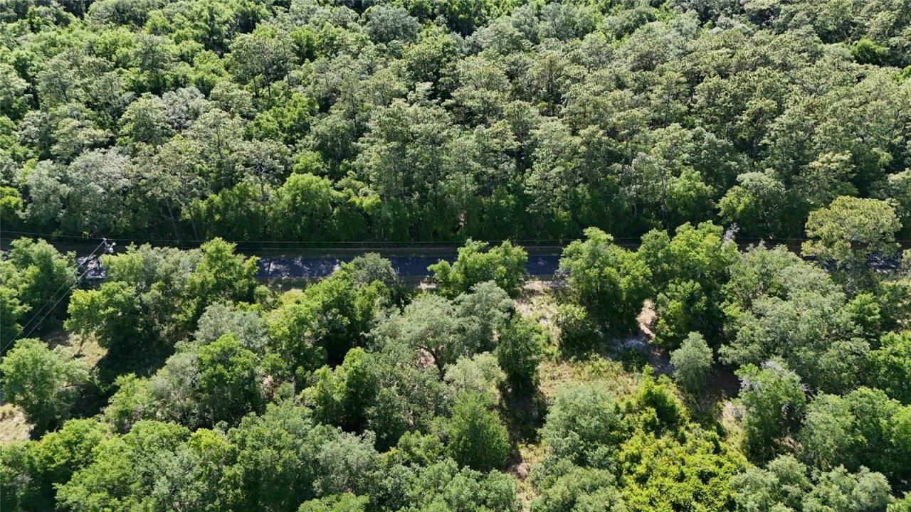 Tbd 170th SE Avenue Road, Ocklawaha, FL 32179 Photo