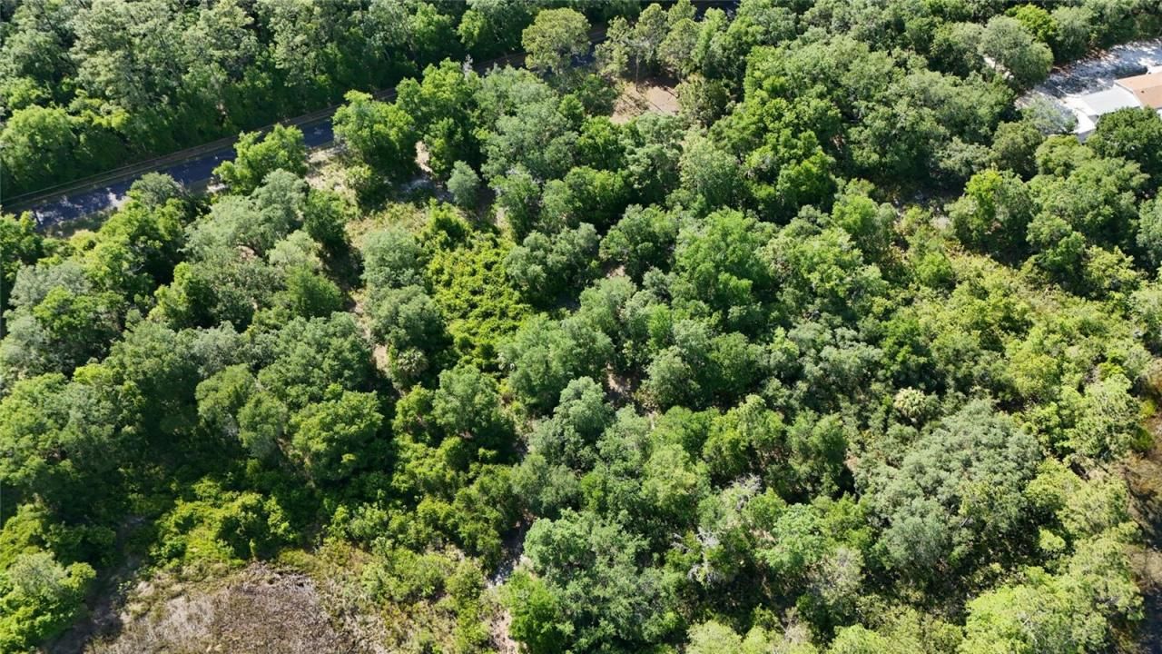 Tbd 170th SE Avenue Road, Ocklawaha, FL 32179 Photo