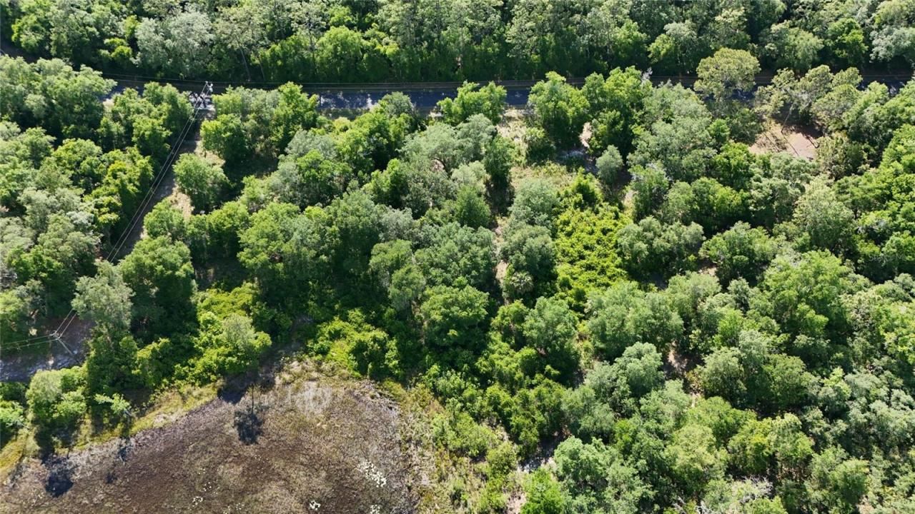 Tbd 170th SE Avenue Road, Ocklawaha, FL 32179 Photo