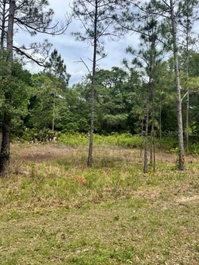 Tbd 170th SE Avenue Road, Ocklawaha, FL 32179 Photo