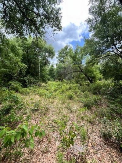 Tbd 170th SE Avenue Road, Ocklawaha, FL 32179 Photo