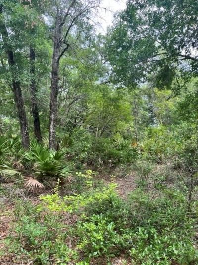 Tbd 170th SE Avenue Road, Ocklawaha, FL 32179 Photo