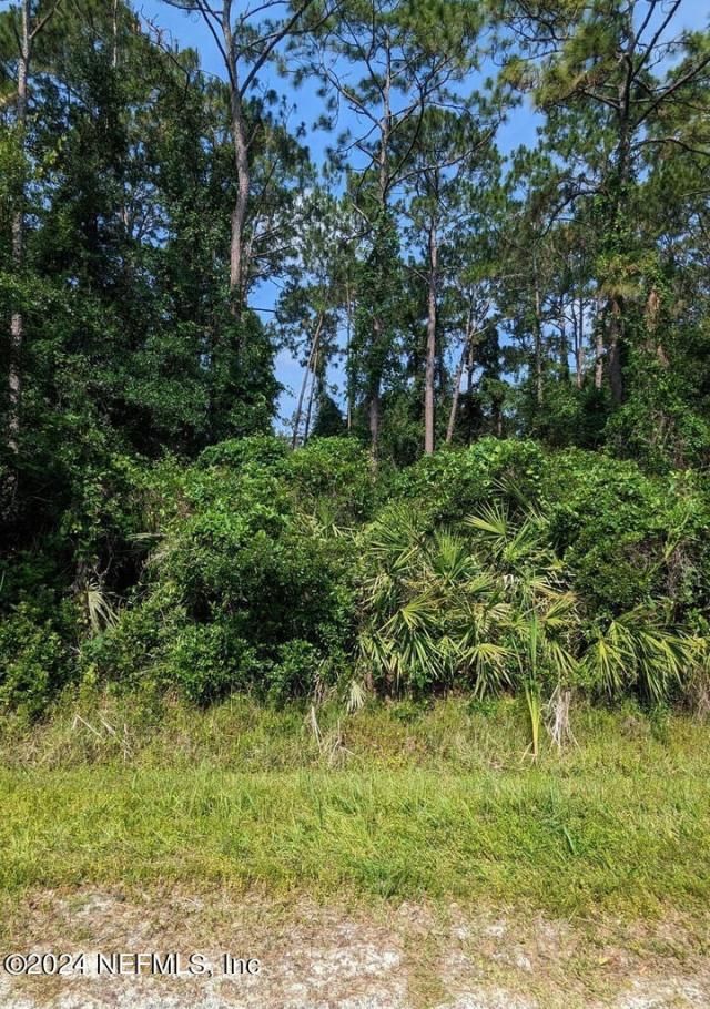 00 Roddy Road, Palatka, FL 32177 Main Photo