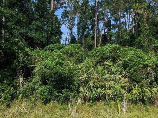 00 RODDY Road, Palatka, FL 32177