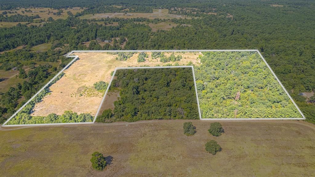 Tbd County Road 228, Centerville, TX 75833 Main Photo
