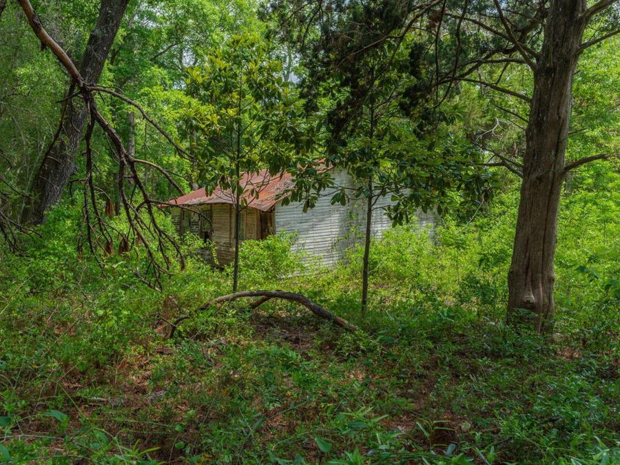 Property Image 27