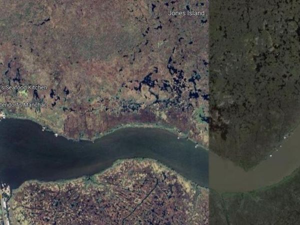 JONES ISLAND, Akers, LA 70454