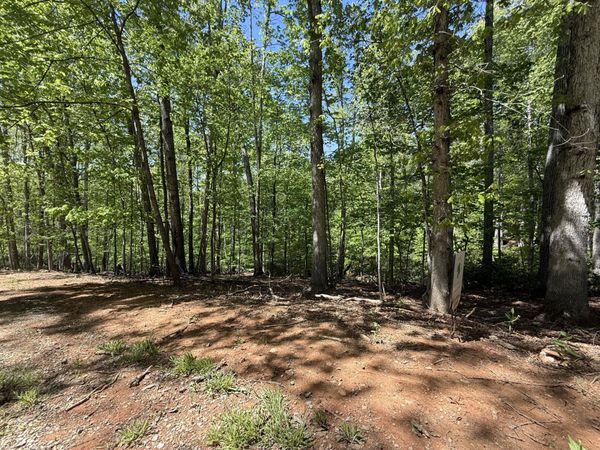 0 Cedar Bluff LN, Hardy, VA 24101