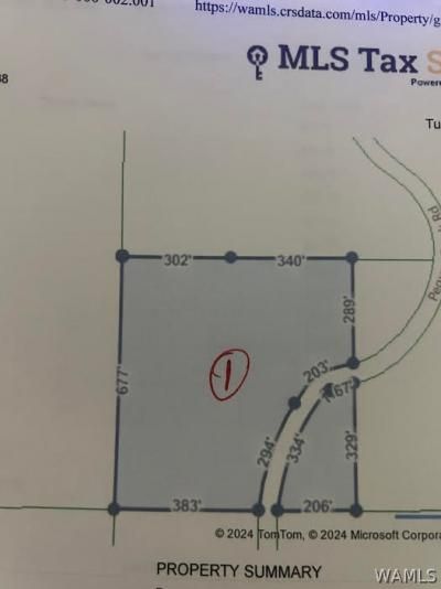 Tract 1 Pegues Creek Road, Brookwood, AL 35444 Main Photo