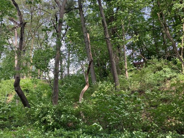 98 Ogden Road, Ogden Dunes, IN 46368