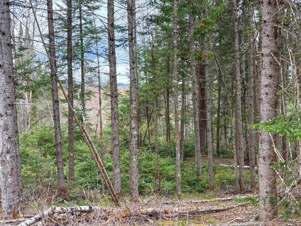 0 Atwood Road, Unit 4, Brighton, VT 05846