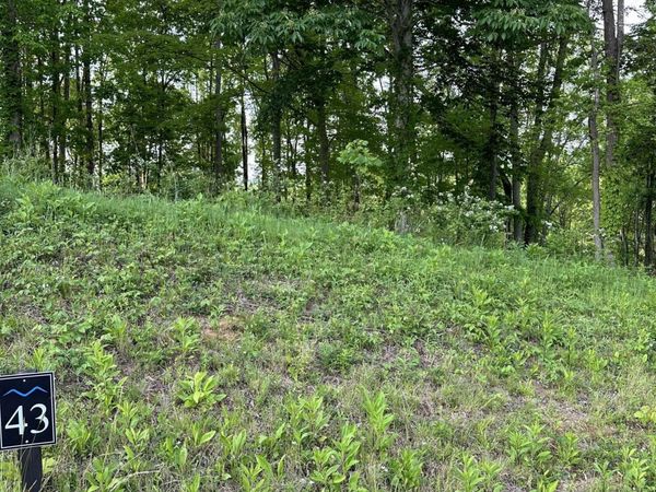 000 Lot #43 - Watauga Ridge Road, Butler, TN 37640