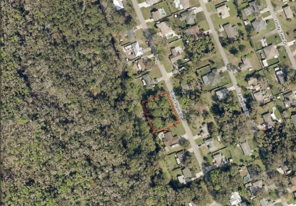 Silver Palm Drive, Edgewater, FL 32141 Photo