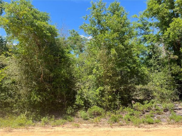 HOCKING STREET, ALFORD, FL 32420
