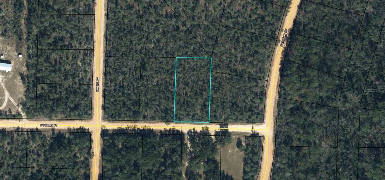 Hocking Street, Alford, FL 32420 Photo