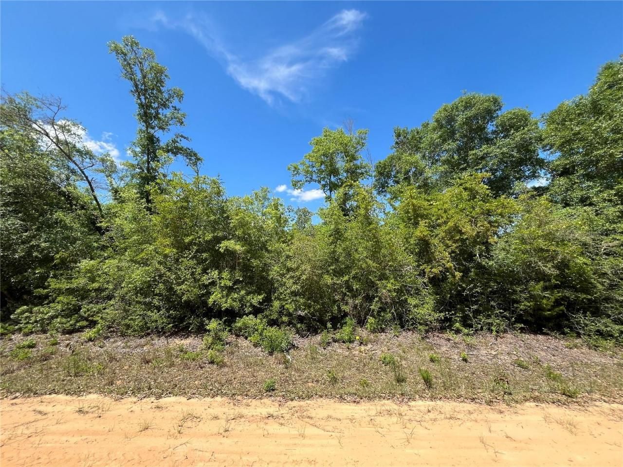 Hocking Street, Alford, FL 32420 Photo