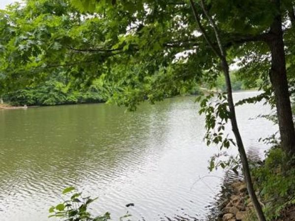 CRESTVIEW RD, Unit LOT 93, WIRTZ, VA 24184