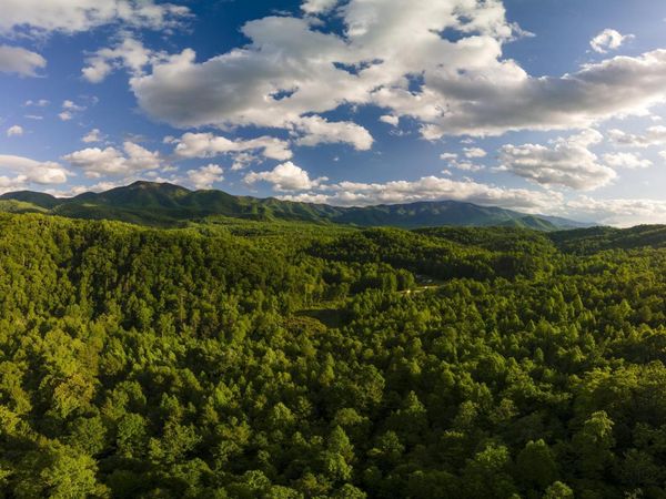 3963 Off Lindsey Gap Rd, Hartford, TN 37753
