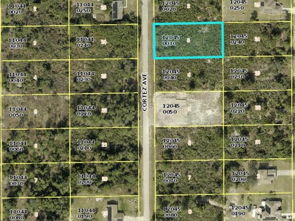 1120 CORTEZ AVENUE, LEHIGH ACRES, FL 33972