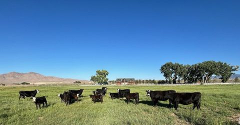 250 Olson Ranch Road, Wellington, NV 89430 Photo