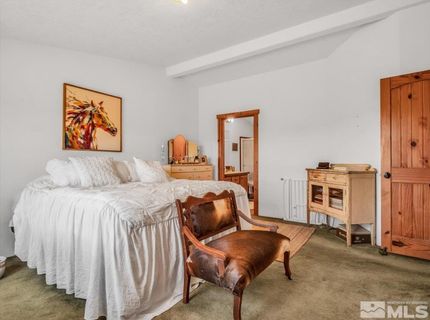 250 Olson Ranch Road, Wellington, NV 89430 Photo