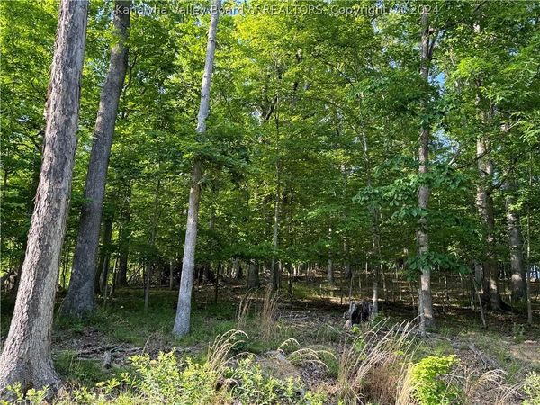 0 Poplar Estates, Scott Depot, WV 25560