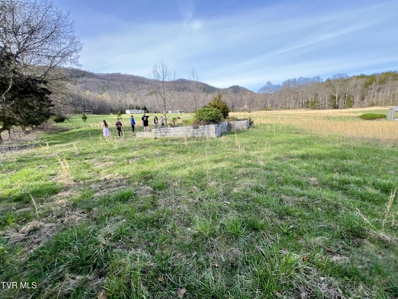 0 Lovin Road, Mooresburg, TN 37811 Main Photo