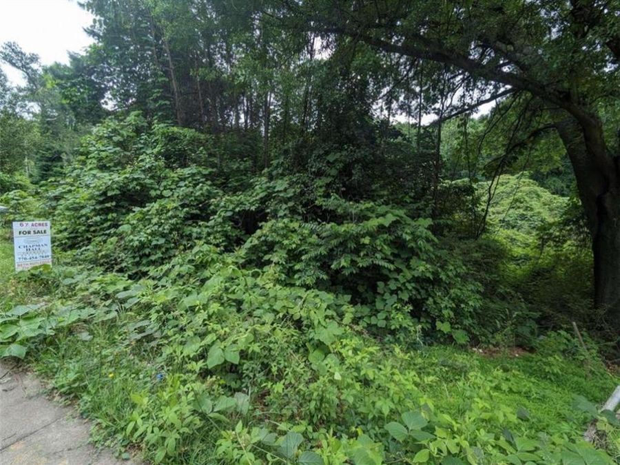 Property Image 4