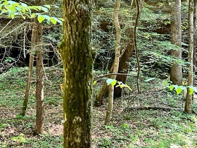 0 Coperas Cave Branch, Beattyville, KY 41311 Main Photo