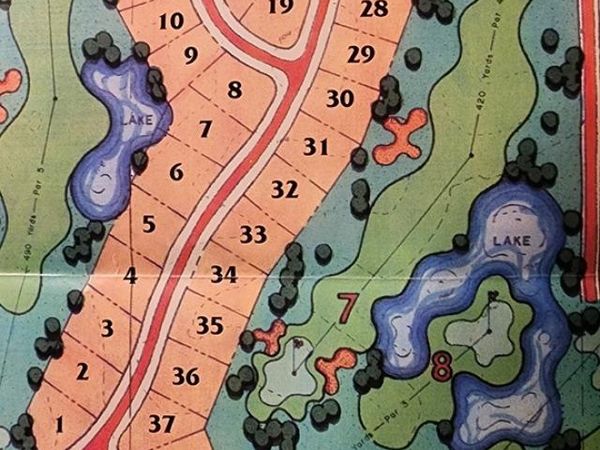 46 N Lake Drive, Atlanta, IL 61723