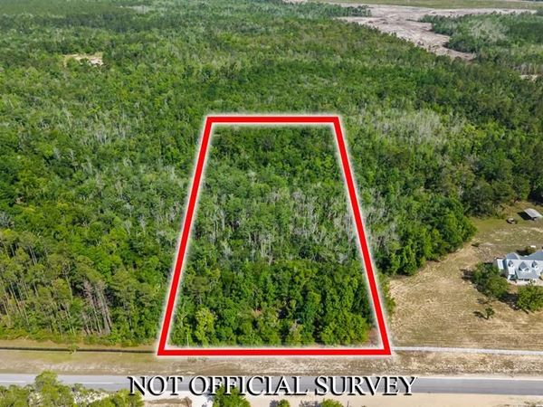TBD HWY 361, Steinhatchee, FL 32359
