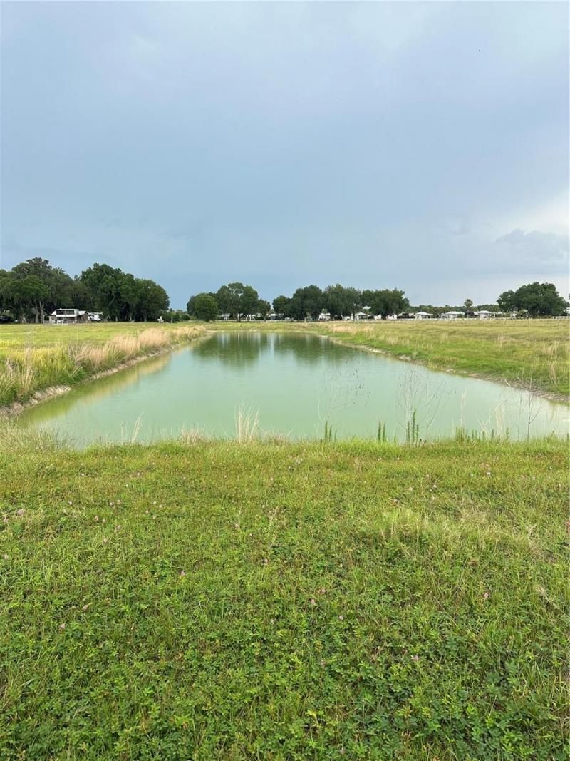 E C-478 -unassigned Address, Webster, FL 33597 Photo