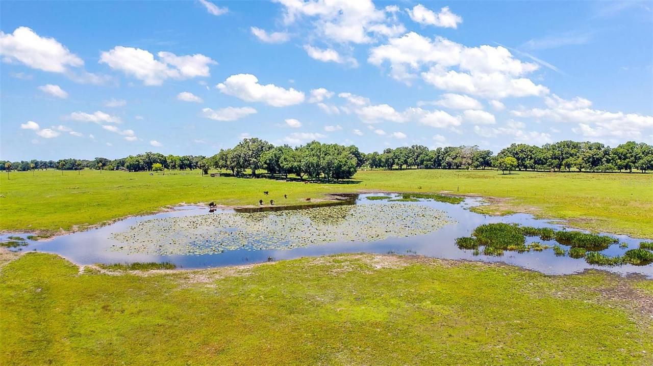 E C-478 -unassigned Address, Webster, FL 33597 Photo