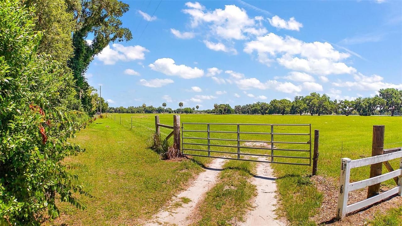 E C-478 -unassigned Address, Webster, FL 33597 Photo