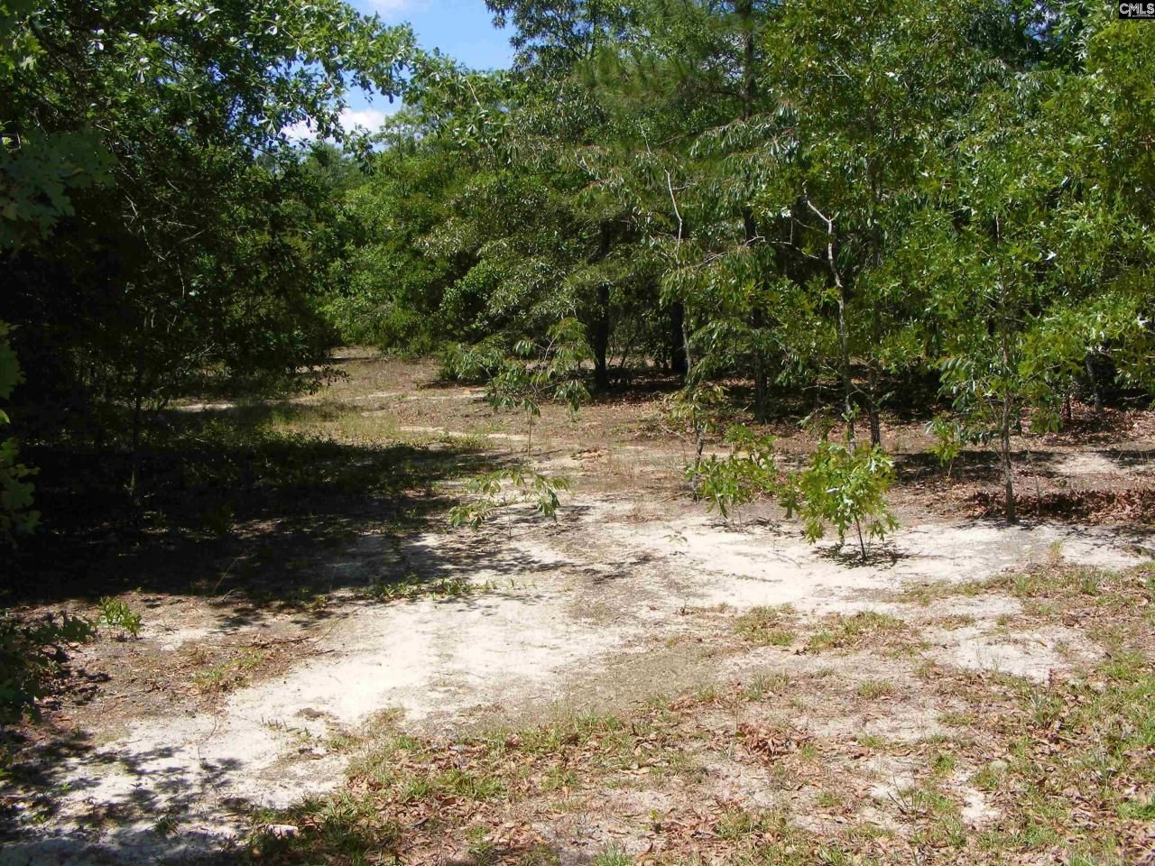 0 Meadowfield Road Photo 10