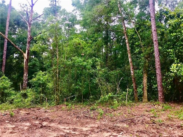 0 Sedlack Road, Silverhill, AL 36576