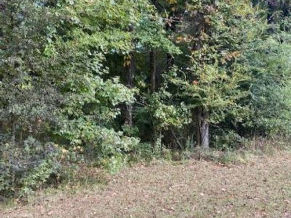 000 W Ms-463 Highway, Madison, MS 39110