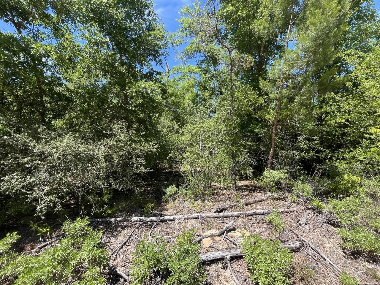 0 Hocking Street, Alford, FL 32420 Photo