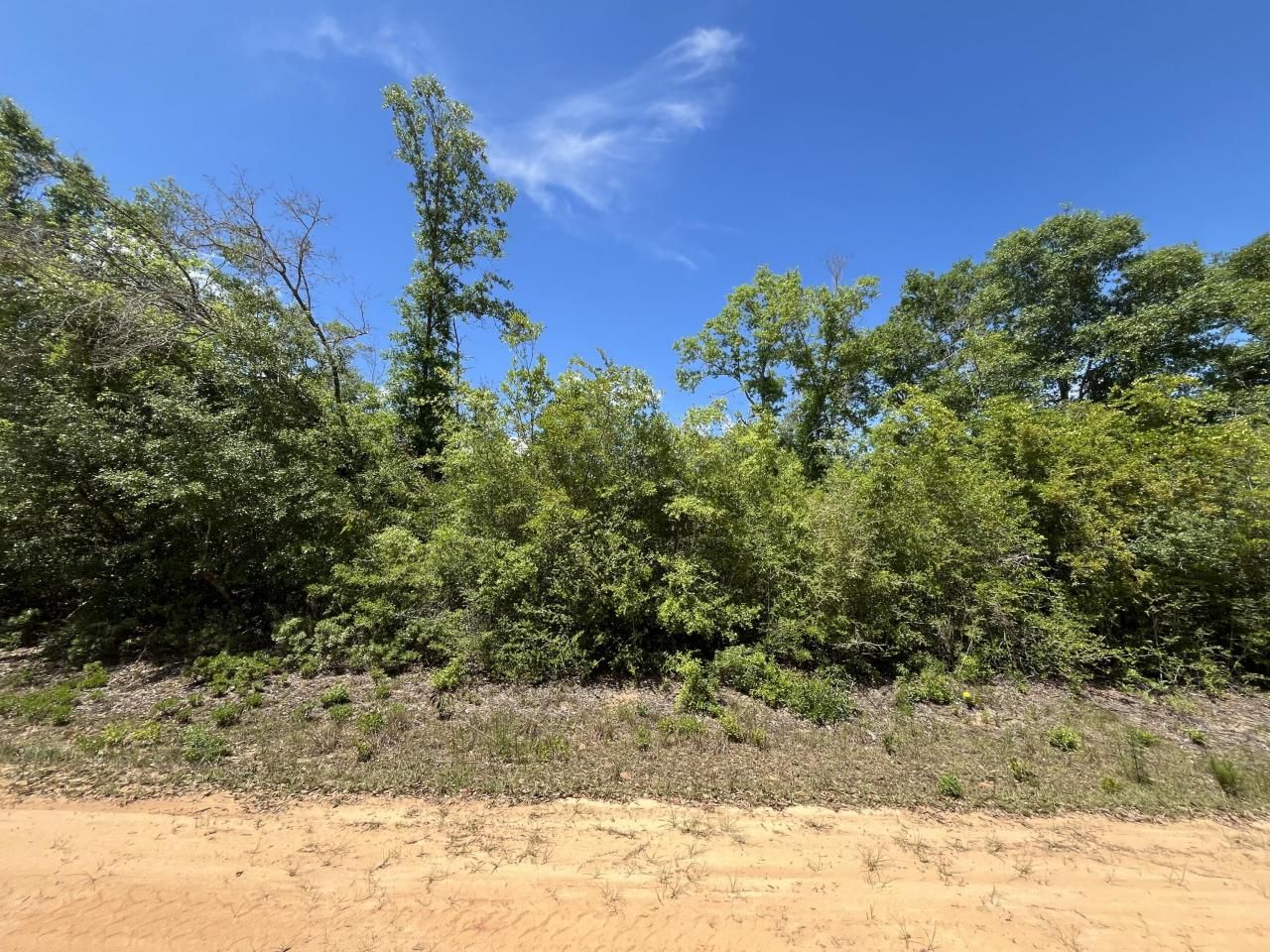 0 Hocking Street, Alford, FL 32420 Photo