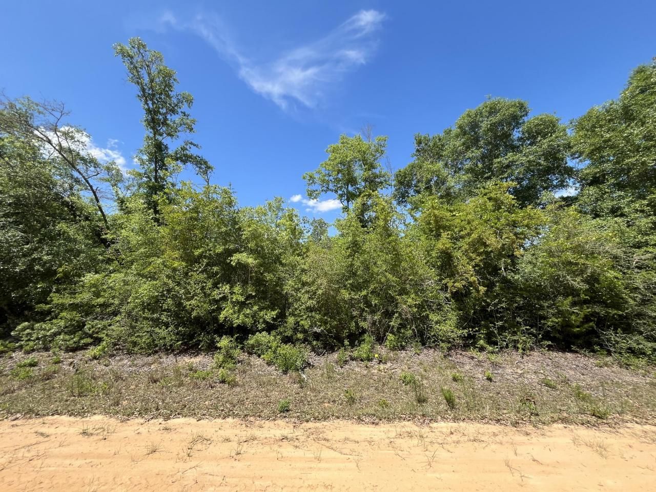 0 Hocking Street, Alford, FL 32420 Photo