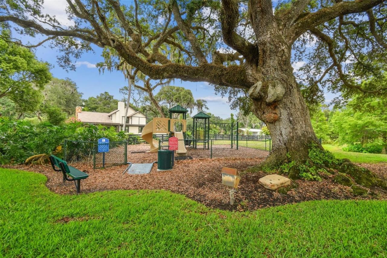 12310 Stonelake Ranch Boulevard, Thonotosassa, FL 33592 Photo