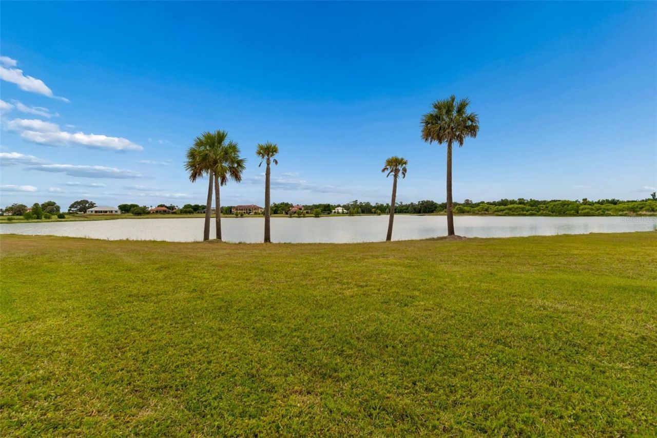 12310 Stonelake Ranch Boulevard, Thonotosassa, FL 33592 Photo