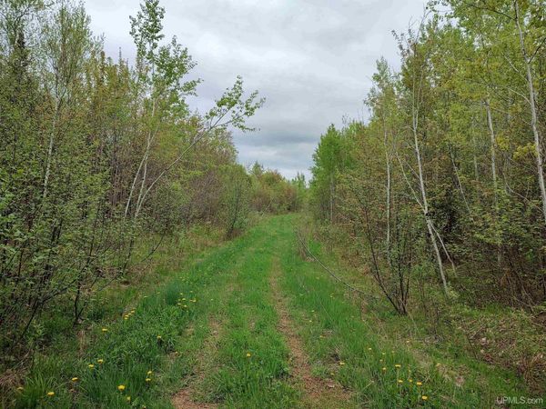 TBD Victoria/Norwich Cut Across Road, Rockland Twp, MI 49960