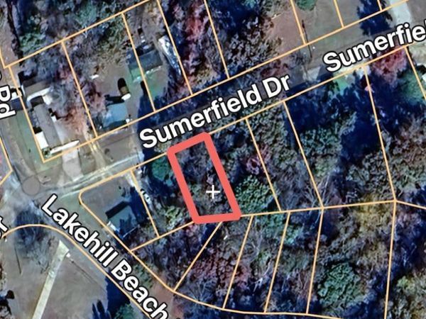 0000 Summerfield Dr, Springville, TN 38256