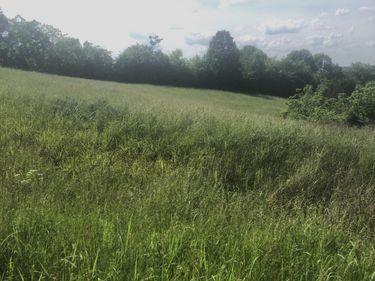 5 S Chowning Lane, Bloomfield, KY 40008